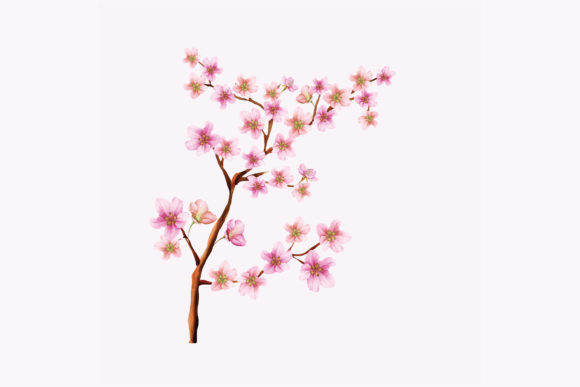 Designing with Elegance: The Cherry Blossom Wedding Card Set